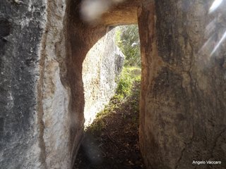 traro-30-12-2021 18-28-02